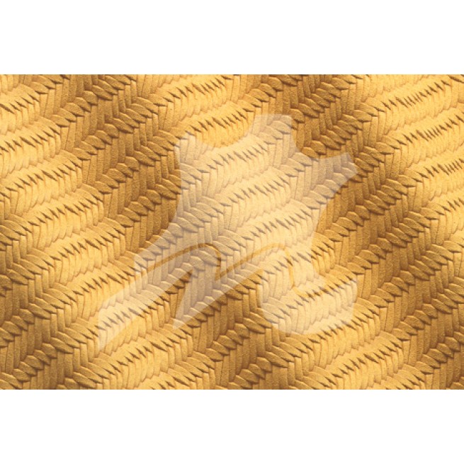 Aligo Group фото